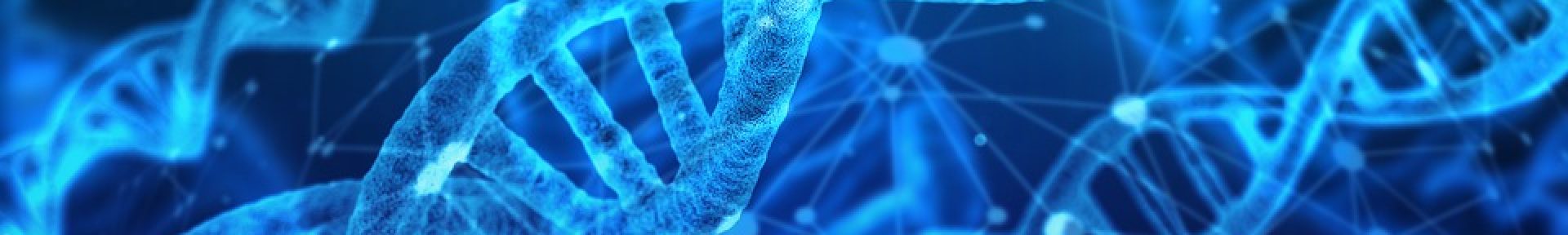 dna-Axe 1
