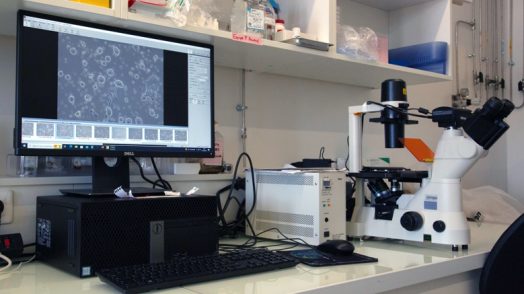 Site internet microscope