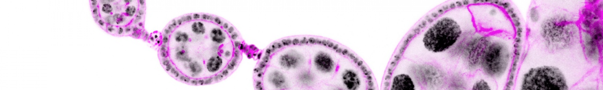 Capture d’écran 2023-04-06 à 13.56.58