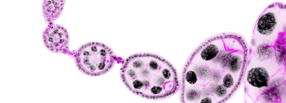 Capture d’écran 2023-04-06 à 13.56.58