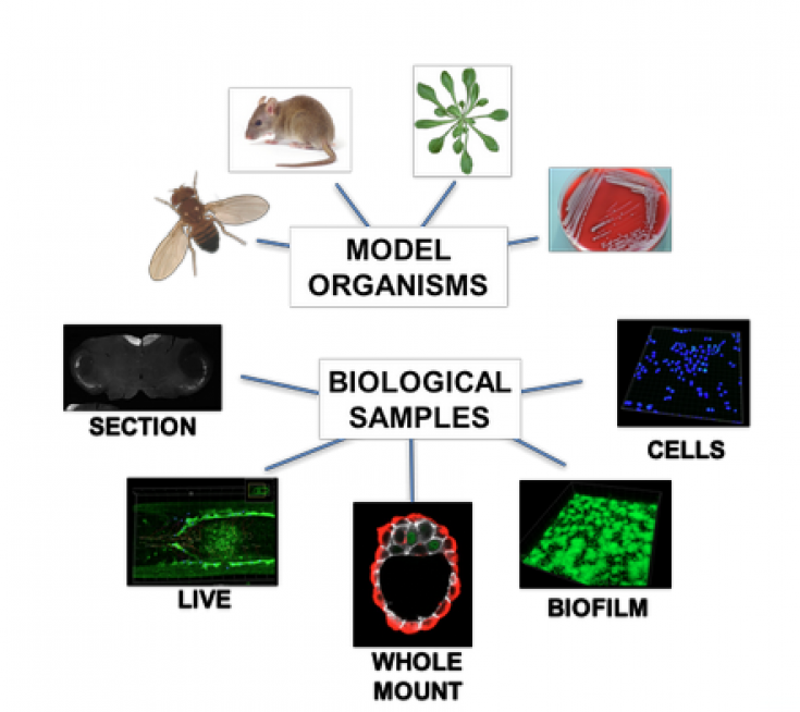 Capture d’écran, le 2024-04-18 à 15.08.29