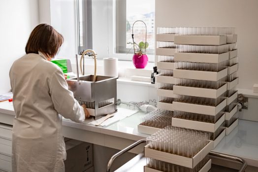 2023-02-Droso-filler-6_430-1